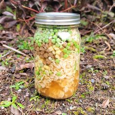 a jar filled with food sitting on the ground