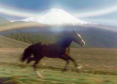 a blurry photo of a horse running in the grass with mountains in the background