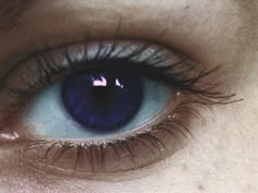 Royal Blue Eyes, Purple Blue Eyes, Navy Blue Eyes, Dark Purple Eyes, Blue Purple Eyes, Blue Eye Aesthetic