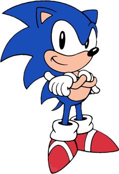 sonic the hedge cartoon character with his arms crossed