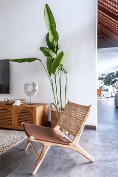 a wooden chair sitting next to a plant in a living room