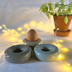 three ceramic egg cups sitting next to a potted plant on top of a table