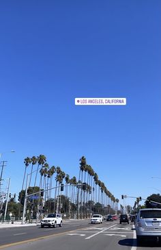 a street sign on the side of a road with palm trees in the background