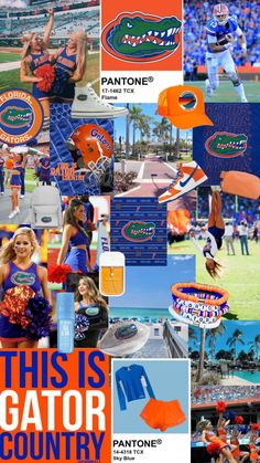 collage of florida gators fans and cheerleaders in orange, blue, and white