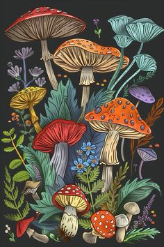 an illustration of mushrooms and plants on a black background