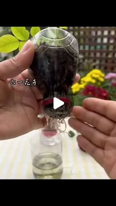 two hands holding a small glass vase with water in it and another hand holding a smaller one