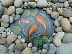 two goldfishs are swimming in the pond surrounded by rocks