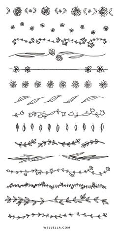 a set of hand drawn floral design elements