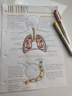 a diagram of the lungs on top of a piece of paper next to two markers