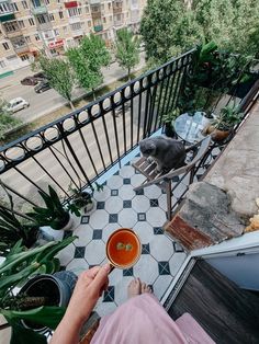 a person sitting on a balcony with a bowl of soup in front of them and a dog looking out the window