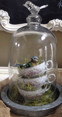 a glass cloche with teacups in it on top of a tray filled with moss