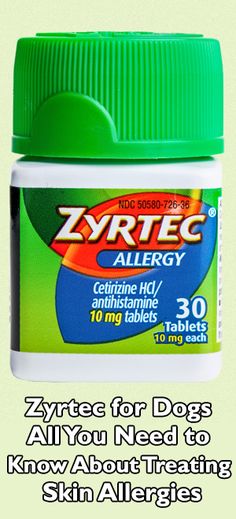 a bottle of zyrtec allergy with the caption,'zyrtec for dogs all you need to know about treating skin allergies '