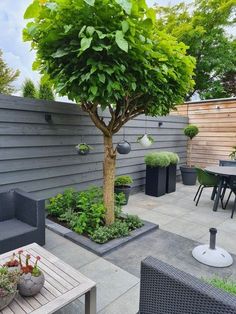 an outdoor patio with chairs, tables and a tree in the center is surrounded by potted plants