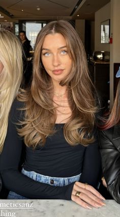 Brown Blonde Layered Hair, Brown 90s Blowout Hair, Now In Hair, Hair Inspo Oval Face, Cool Honey Brown Hair, Honey Blonde Hair Babylights, Honey Brown Layered Hair, Long Layered Bronde Hair, Batsheva Haart Hair