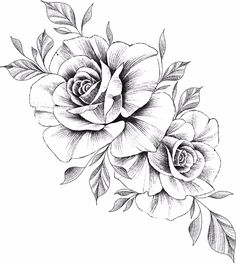 an ink drawing of two roses on a pink background with leaves and flowers in the center