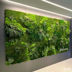 a large green wall with plants on it