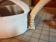 a close up of a basket on the floor with an animal in it's mouth