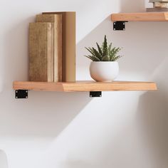 two shelves with books and a potted plant on them