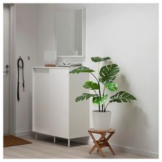 a potted plant sitting next to a white cabinet