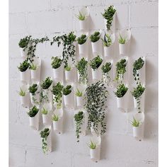 several white vases with plants growing from them on a wall mounted to a brick wall