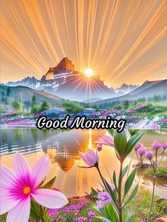 the words good morning are written in front of flowers and mountains with pink daisies