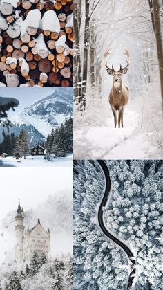 four different pictures with trees and animals in the middle one has snow on its ground