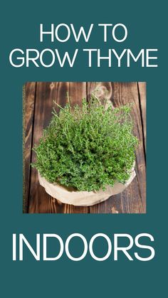 the cover of how to grow thyme indoors