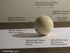 an image of a light bulb with labels on it's side and labeled parts