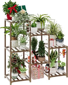 a shelf filled with potted plants and presents