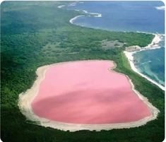 an aerial view of a pink lake in the middle of green land and blue water