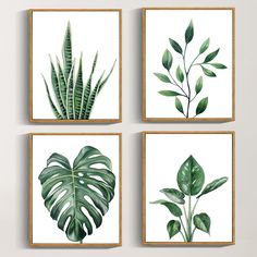 four green leaf prints hanging on the wall