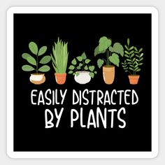 the words easily distracted by plants on a black background with potted plants in them