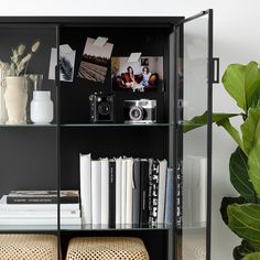 a black bookcase with books and pictures on the glass shelves next to a potted plant