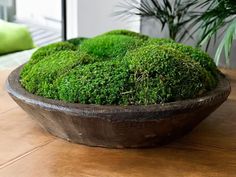 a bowl filled with green moss sitting on top of a wooden table next to a potted plant