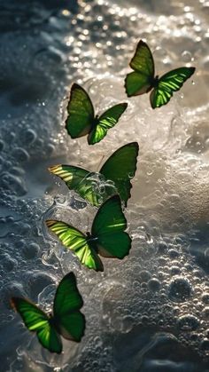 several green butterflies floating on top of water