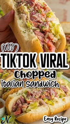 a close up of a sandwich on a plate with the words tiktok vral crepe italian sandwich