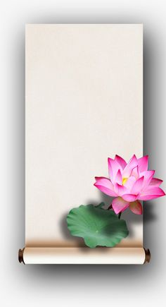 a pink flower sitting on top of a green leafy plant next to a white sheet of paper