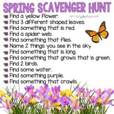 a spring scavenger hunt with flowers and butterflies