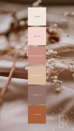 Neutral color palette for small business branding or weddings featuring skin tones, nude, blush colors, copper, chocolate brown, tan, dark blush pink, light blush, and cream. Skin Tone Colour Palette, Dark Blush Pink, Brand Colour Palette, Dark Blush, Nude Palette, Brand Color Palette, Hex Codes, Premium Colors, Brand Kit