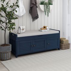 a blue bench sitting next to a potted plant on top of a white rug