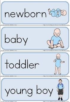 three blue and white labels with words that say baby, toddler, young boy