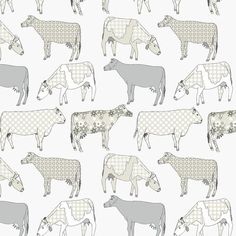 a herd of cows standing next to each other on a white background with grey and gray designs