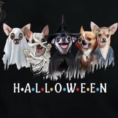 four chihuahuas dressed in halloween costumes with the words halloween written below them on a black background