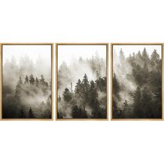 three black and white pictures with trees in the background