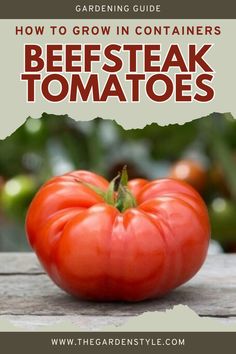 a tomato sitting on top of a wooden table with the title how to grow in containers beefsteak tomatoes