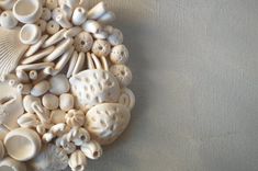 an arrangement of shells and seashells arranged in a circle on a gray background