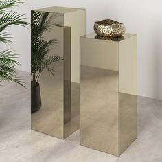 two mirrors sitting next to each other near a potted plant