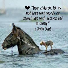 a horse standing in the water with a dog on its back and a quote from john 5 13