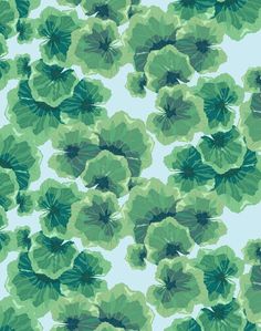 an image of green leaves on blue background