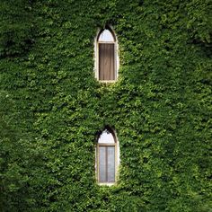 two windows in the side of a green wall